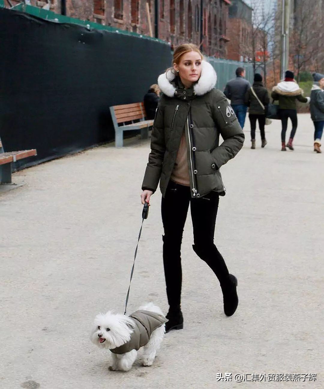 world of moncler羽绒服 (moncler羽绒服为什么这么贵)