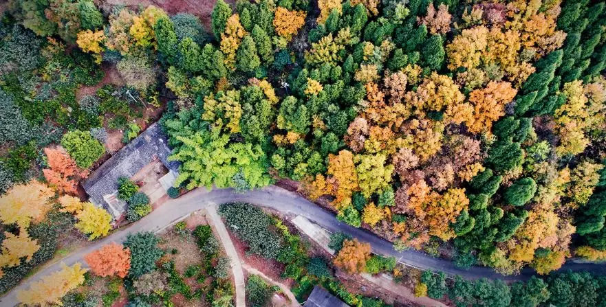 前所未有开新篇成都建设大美公园城市