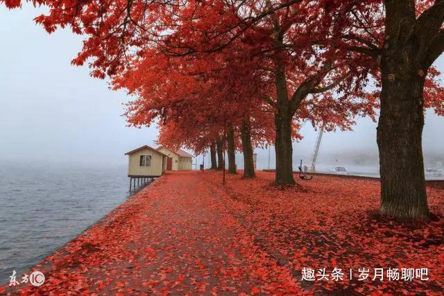 被丈夫暴打的她离家出走活出了自己的精彩，之后又把女儿接到身边