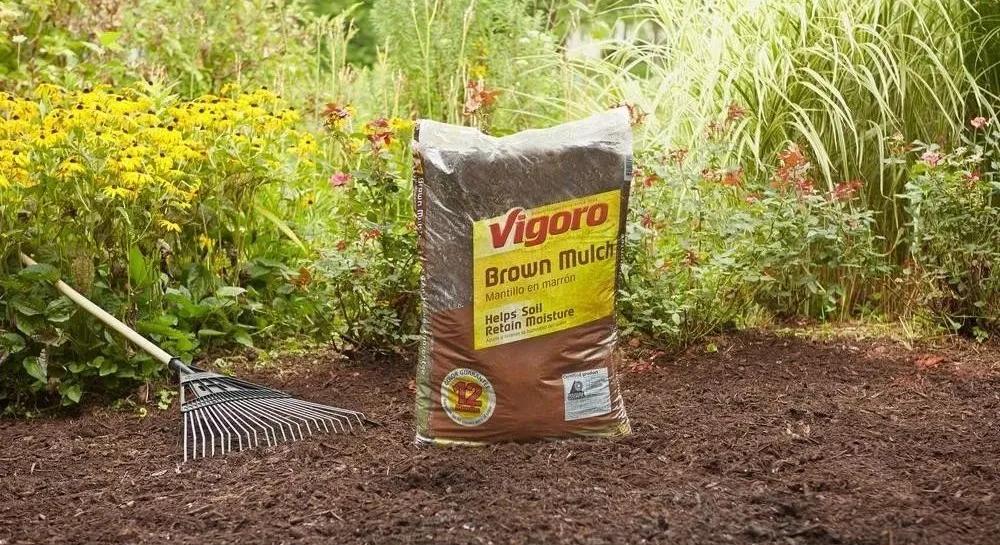 homedepot中国有吗,homedepot家得宝