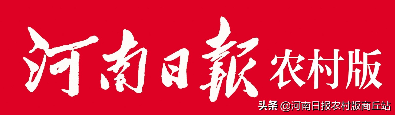 退伍不褪色致敬武威最美退役军人,退伍不褪色最美退役军人