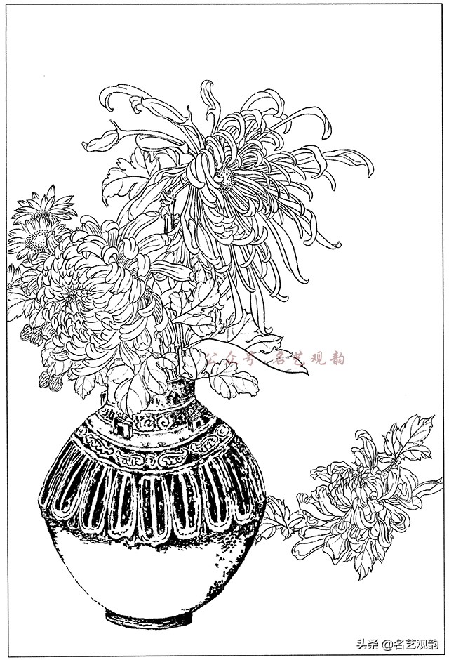 工笔画白描花卉图片大全,工笔画线描花卉菊花