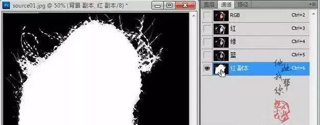 ps如何利用通道快速抠毛发,ps抠出来的头发有白边怎么去除
