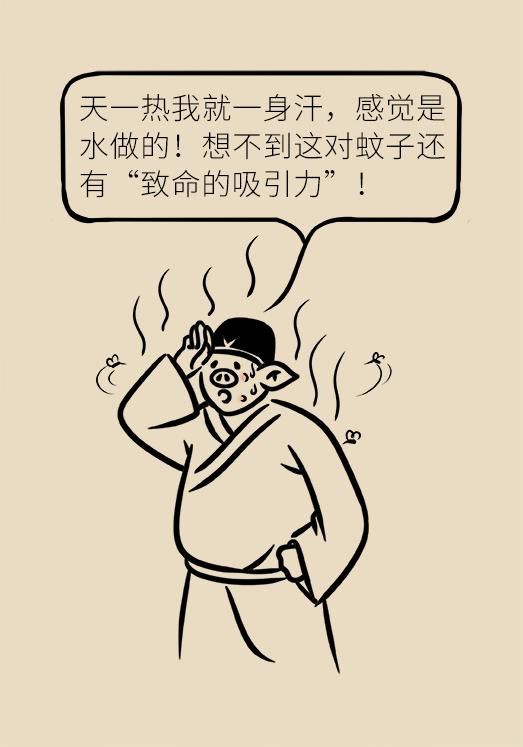 被蚊子吵得睡不着失眠了,被蚊子吵得睡不着