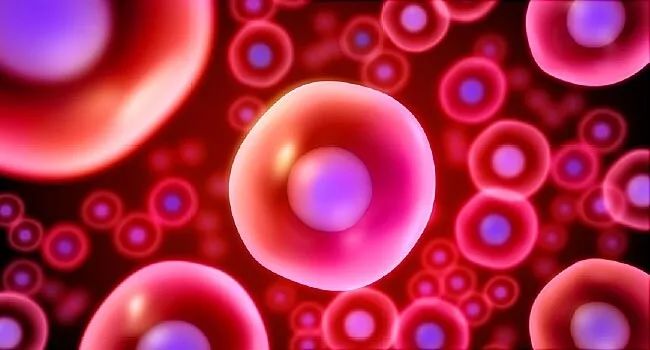 娱乐圈之人生赢家,人生赢家娱乐圈