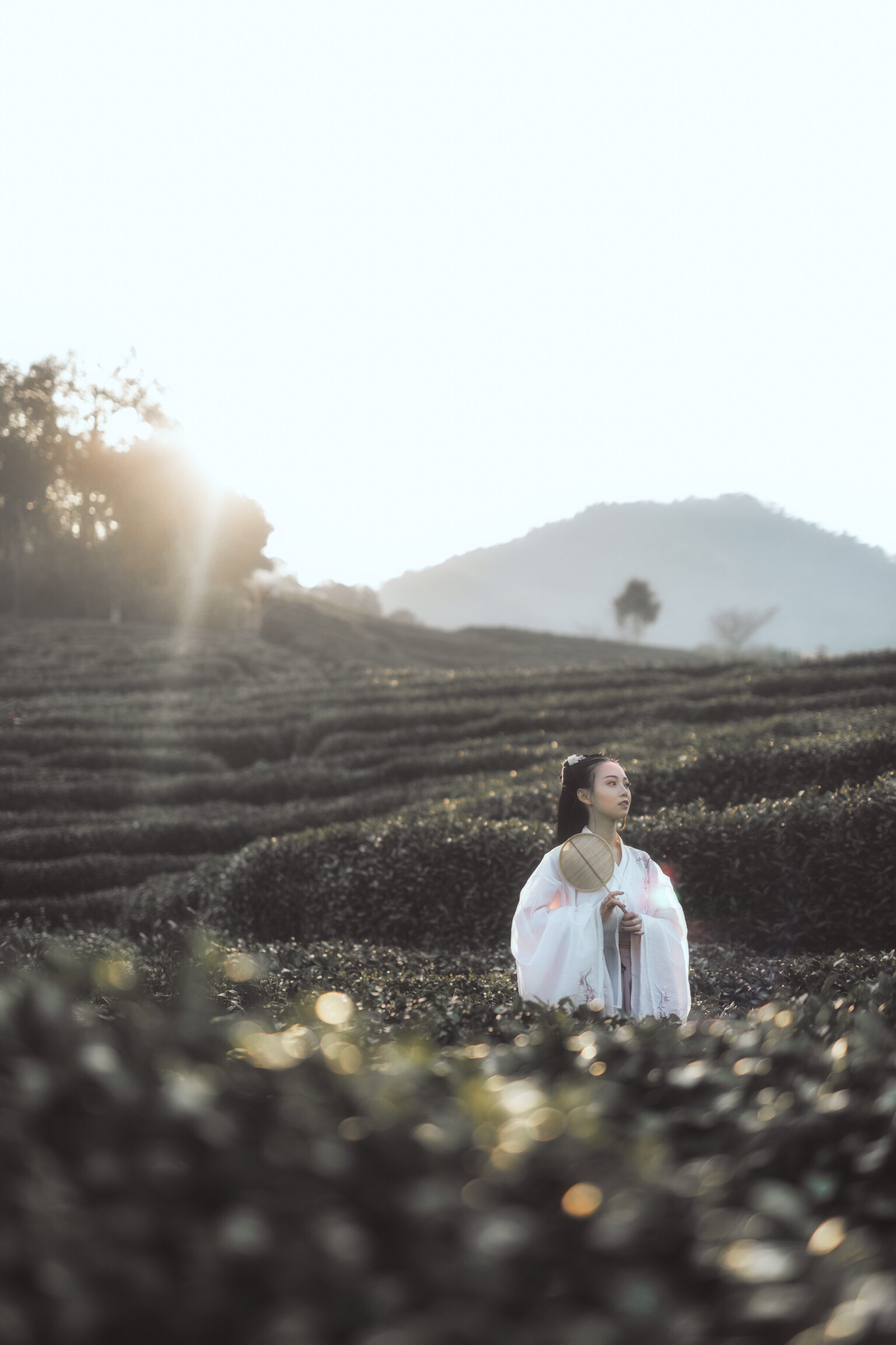 春日偶成程颢古诗速记,程颢春日偶成古诗视频