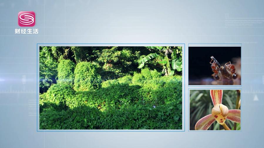 深圳财经频道直播,深圳财经直通车