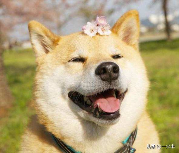 工作期间遇到麻烦的客户怎么处理,工作遇到刁难的客人怎么办