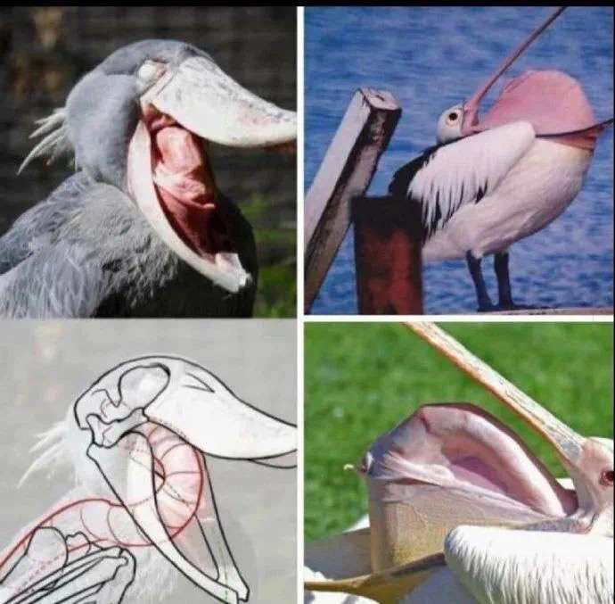 有趣冷小知识,另类知识