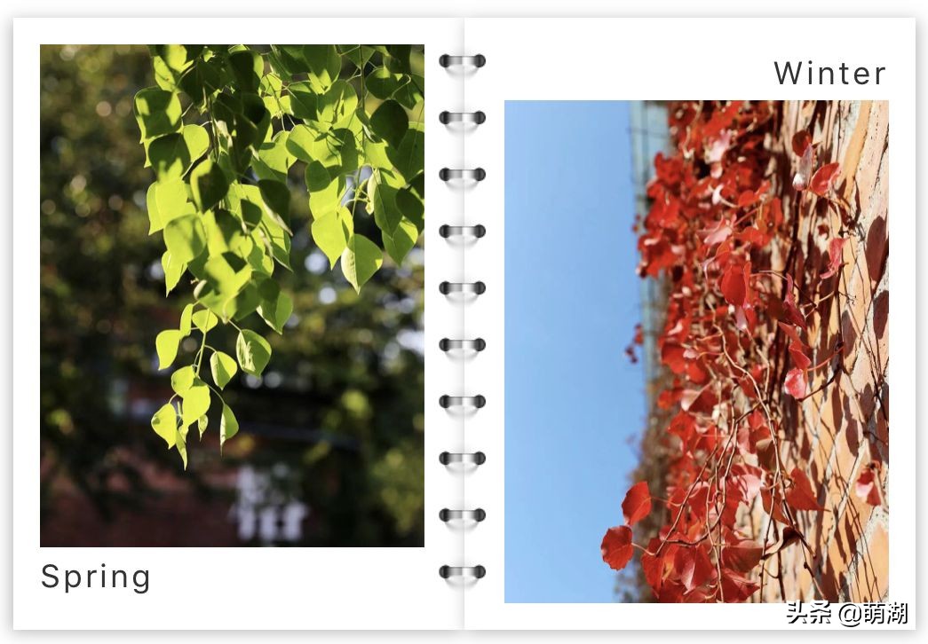 10年红专厂│广州文艺青年的圣地，在一步步远去