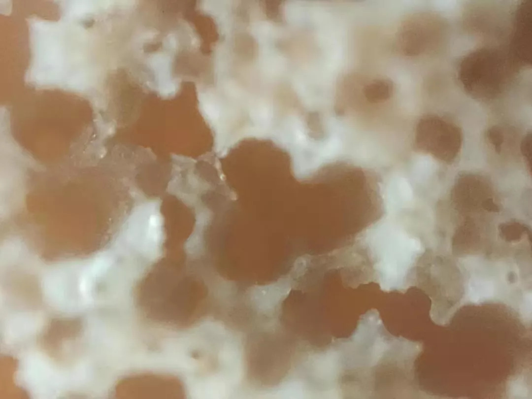 手持式显微镜放大100倍能看清什么,电子数码手机显微镜