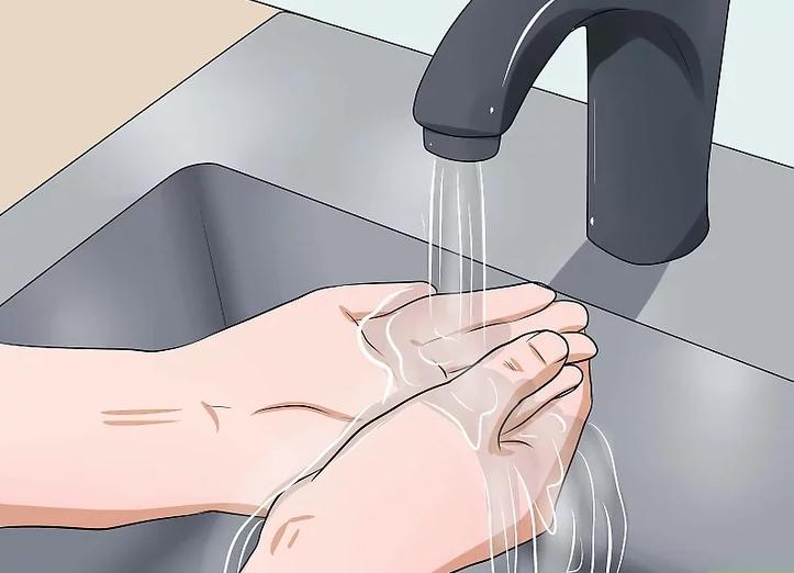 你有没有养过小动物,你有没有想过要养一只猫