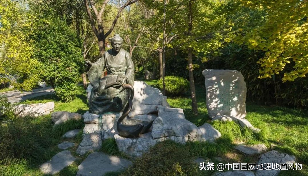 济南青岛临沂,青岛和临沂差距有多大