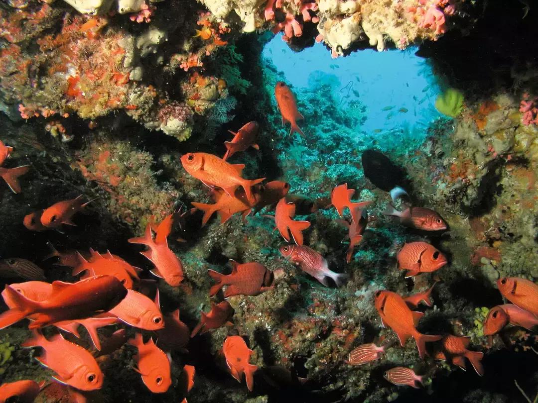 理想生活海景咖啡馆,理想生活