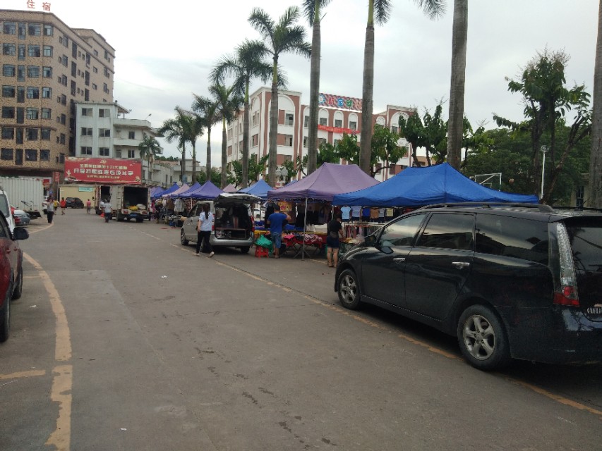 手机干败了多少行业,手机干死相机