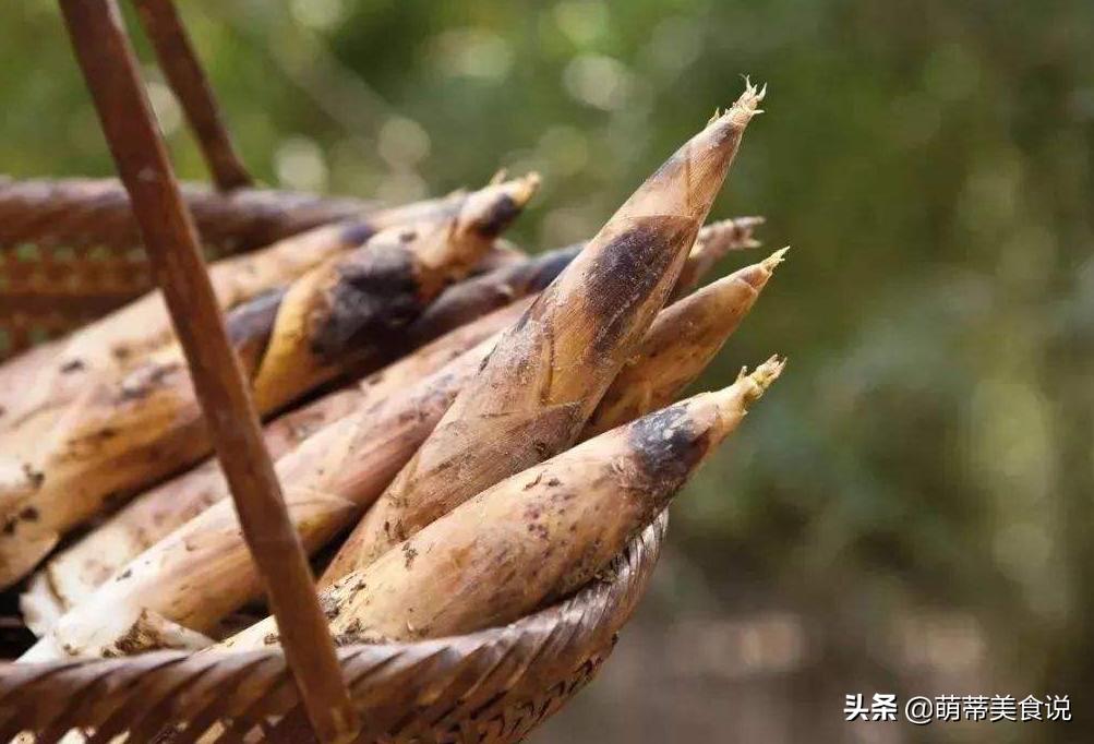 时令蔬菜竹笋怎么吃都可以,哪些竹笋好吃又营养