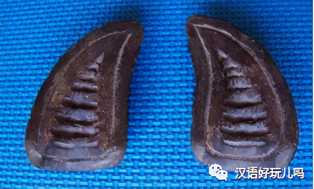 四川话会说不会写的动词,四川方言中难写的字