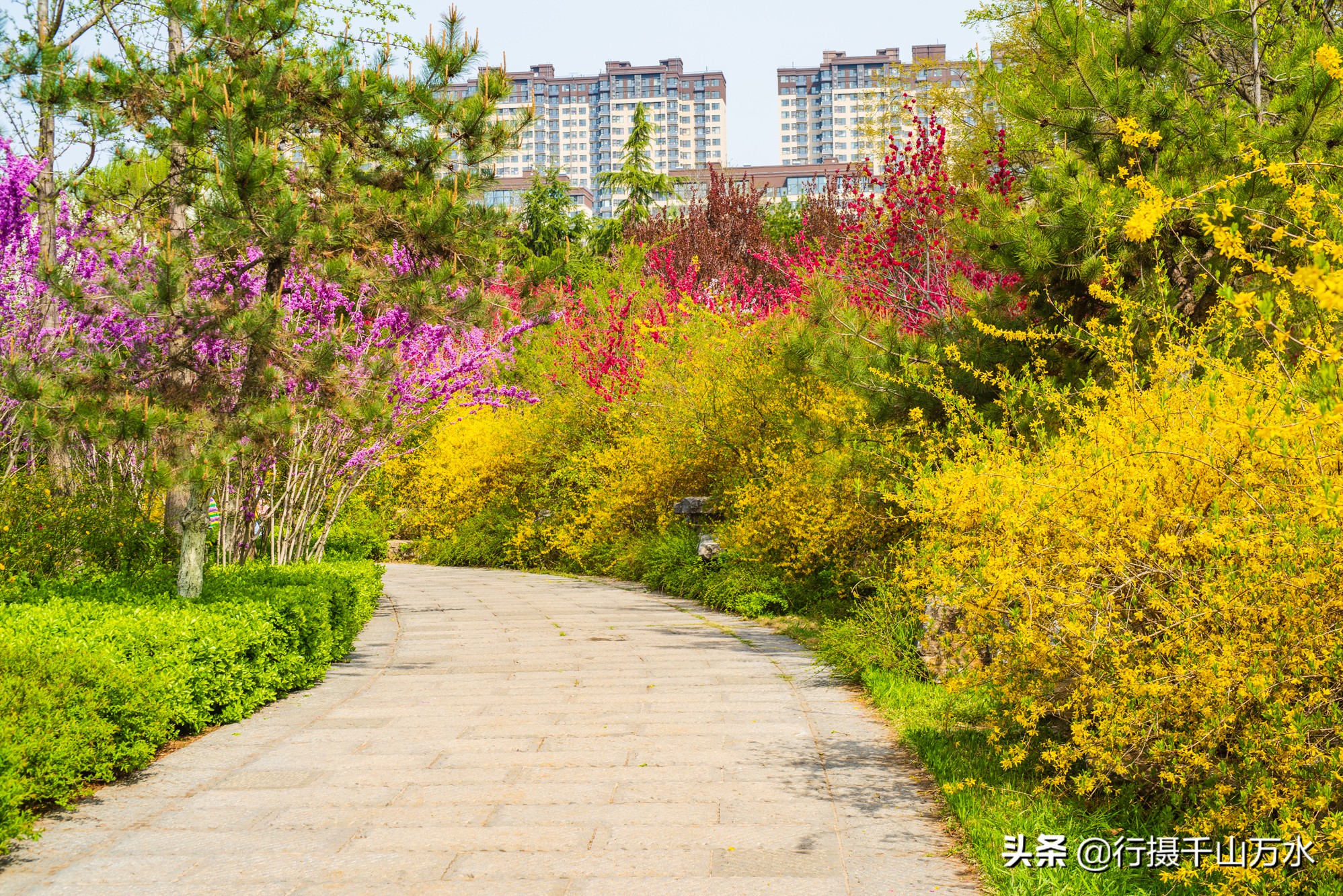 济南免费的森林公园,济南森林公园色彩斑斓秋意渐浓