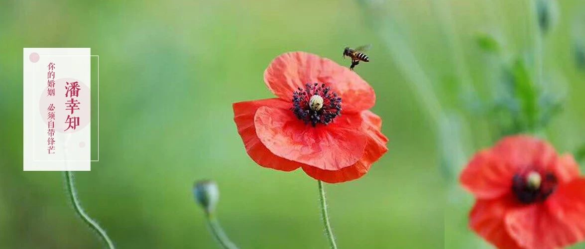 年轻人离婚的三个忠告,35岁离婚2次的血泪教训