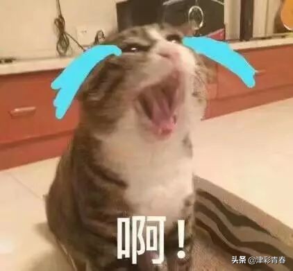 火车坐过站了怎么办可以免费返回,火车坐过站怎么办