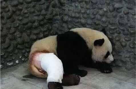 吃鸡关键时刻断触,吃鸡遇到困难时队友比上帝更管用