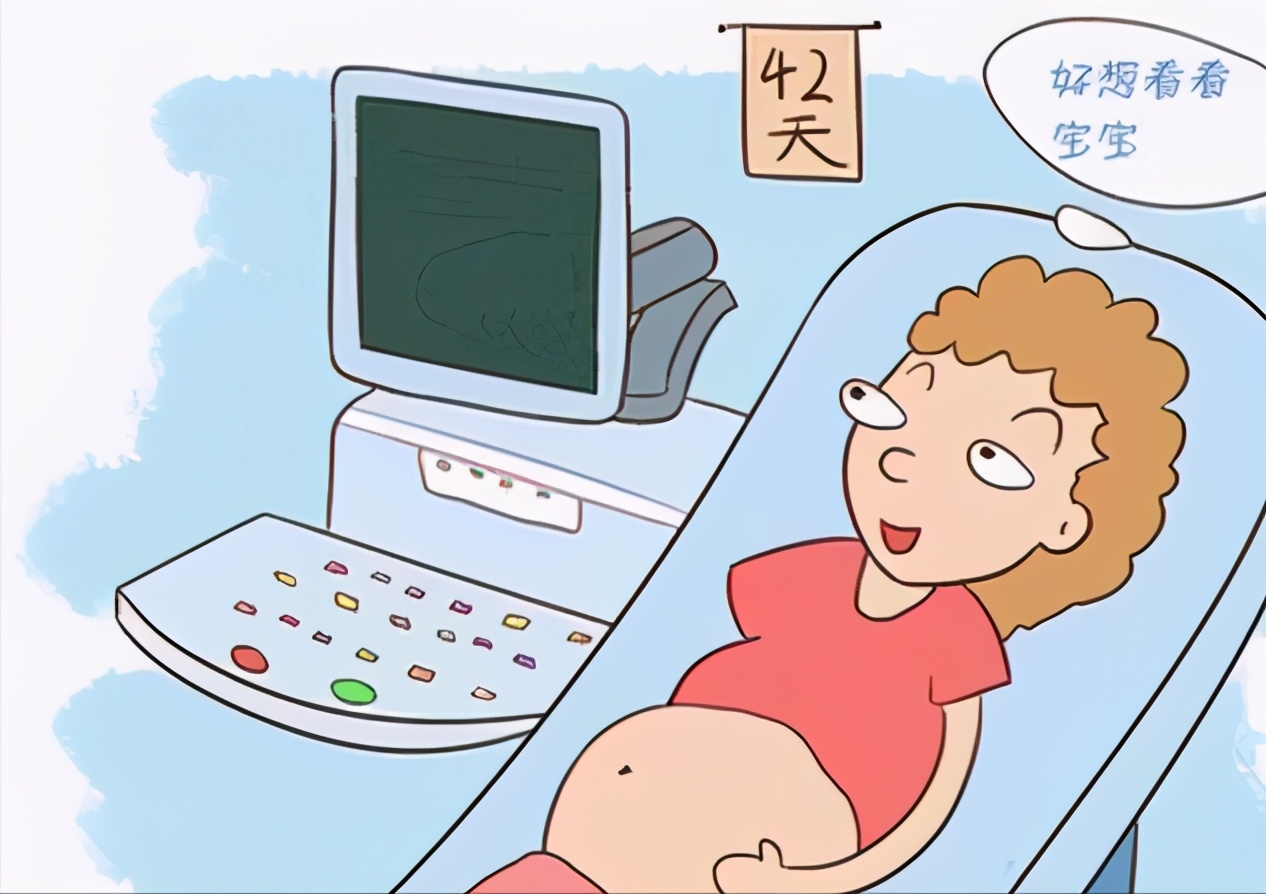 怀孕的基本常识,老婆怀孕老公应该普及的常识