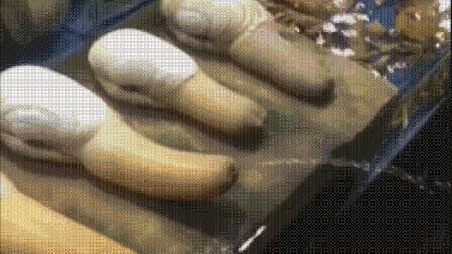 蛤、蚶、蛏、蚝、蚬有什么区别？这是一群美味海怪与人类的故事