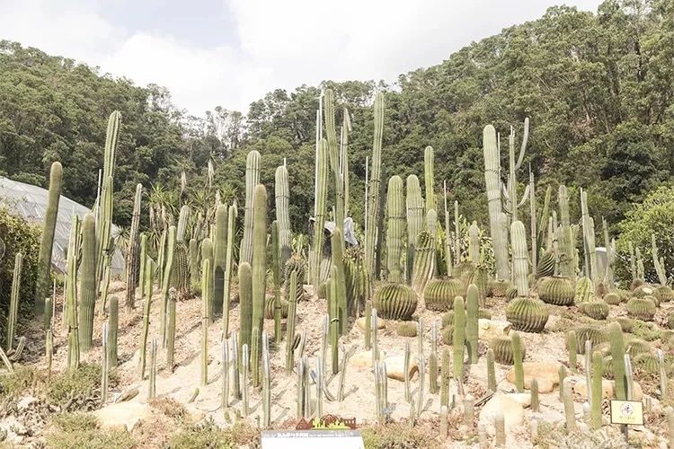 最美湖泊小众风景,最美湖泊西湖
