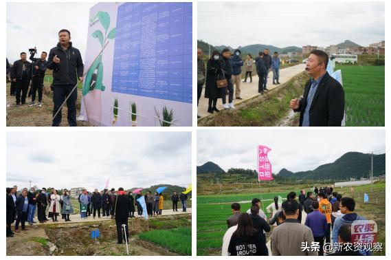 黔南州“一品一策”，格瑞诺瓦助力大葱栽培管理