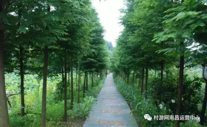 南昌现代庄园别墅,滨江庄园南昌