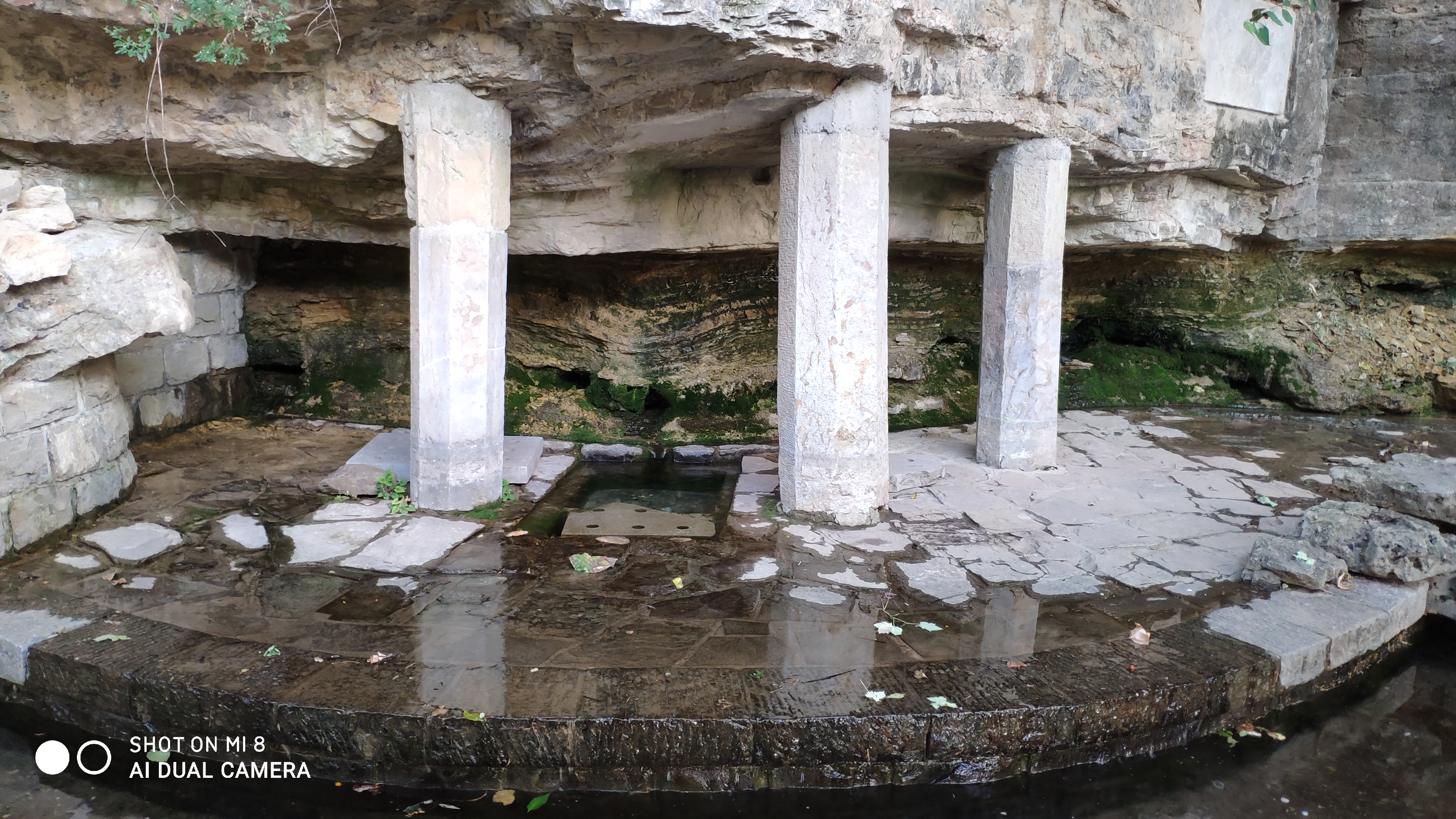 去济南灵岩寺什么必看,济南灵岩寺神树