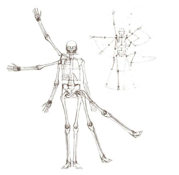 人体板绘入门基础知识,新手板绘自学入门教程