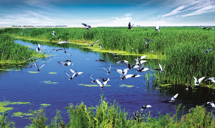 黑龙江哪个城市环境最适合养老,黑龙江富得流油