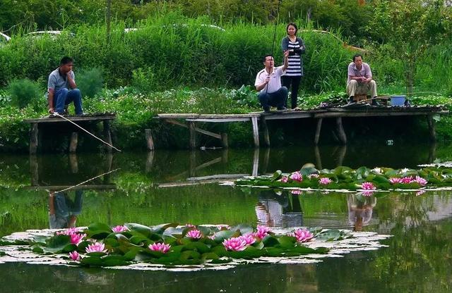 昆明必去的9个烧烤,昆明周边十个烧烤胜地