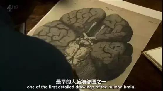 火后重生的凤凰——圣保罗大教堂