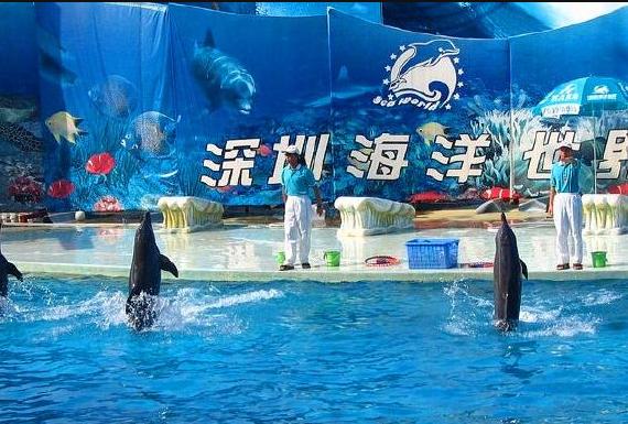 深圳小梅沙海洋世界特价,深圳小梅沙海洋世界团购票多少钱