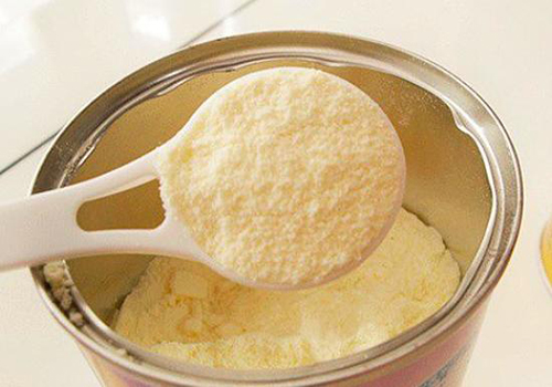 新手养泰迪幼犬要准备什么,新手养泰迪犬要给泰迪犬做些什么