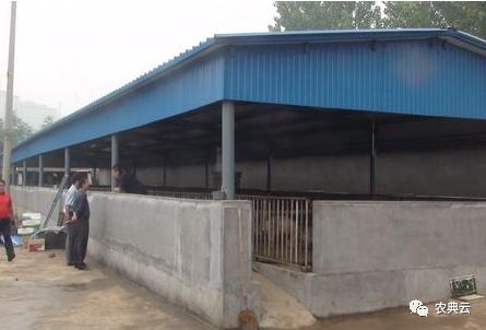 农村养猪场建设需要审批吗,农村建猪场怎么办手续流程