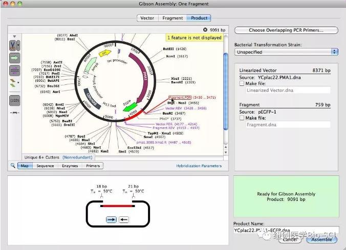 分子生物学知识app介绍,分子生物技术需要用到哪些app