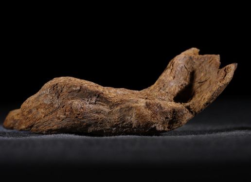 不顾家人反对选择一个人出来,不顾家人反对找了个外国人