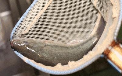 珠海美食一条街规划,中国珠海有个让人羡慕的海鲜街