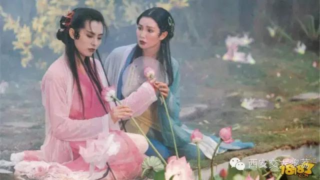 情之所钟情之所终,情之所钟爱之所怜