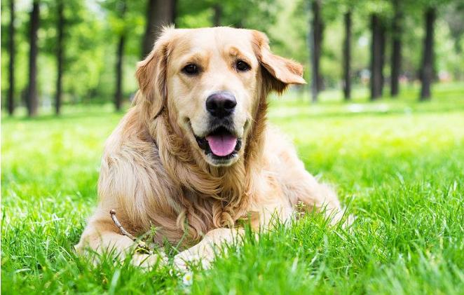 唱歌时怎样打开喉咙用气息唱歌,唱歌不知道节奏技巧和发声方法