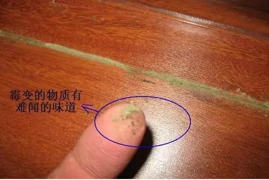 床的木板发霉了严重吗,房屋木板床发霉有霉菌怎么处理