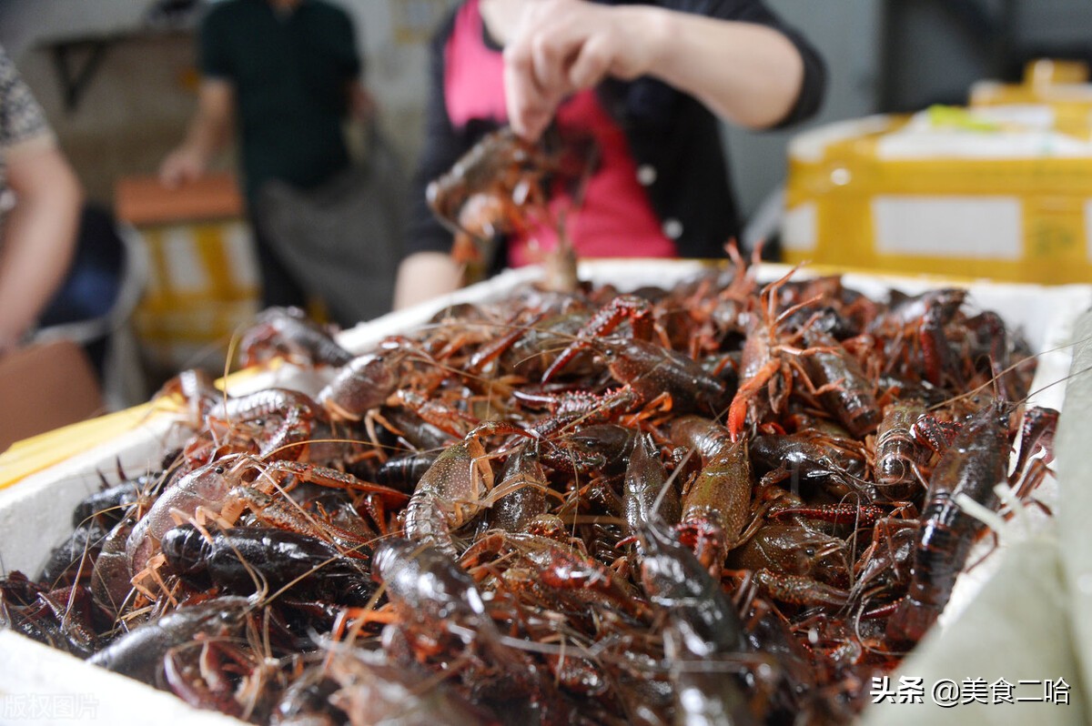 清洗小龙虾你用对方式了吗？饭店老厨师教你3招，再脏也能洗干净