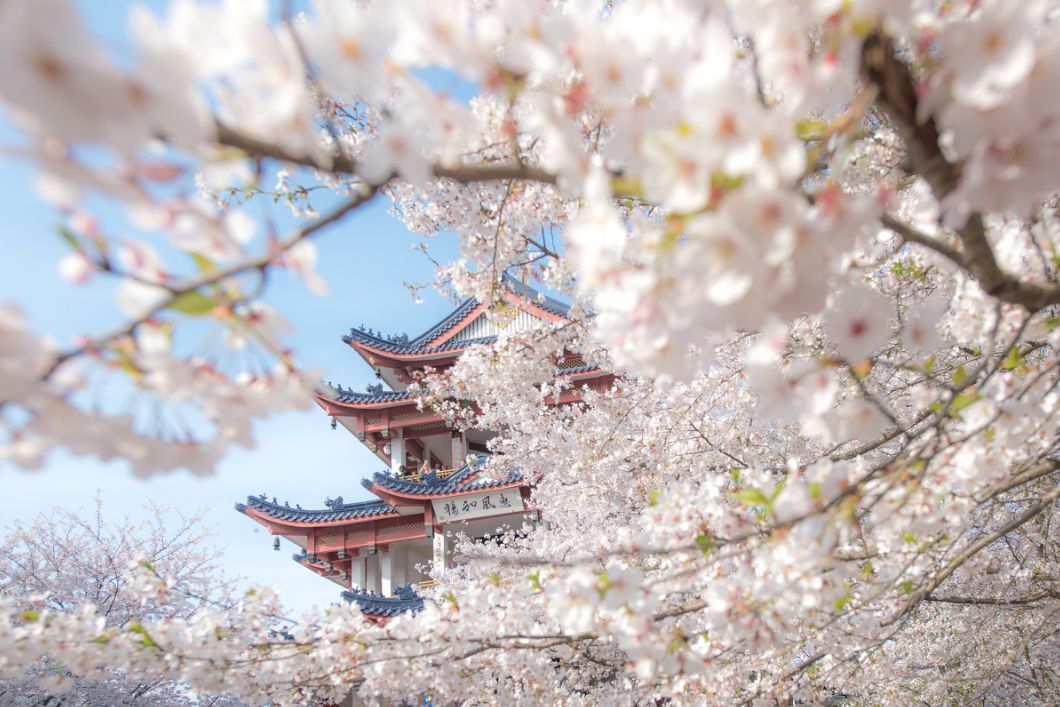 2020旅行时间表,2021年旅行时刻表出炉