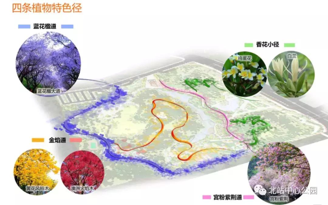 深圳将建8万人专业足球场,全国最大足球公园