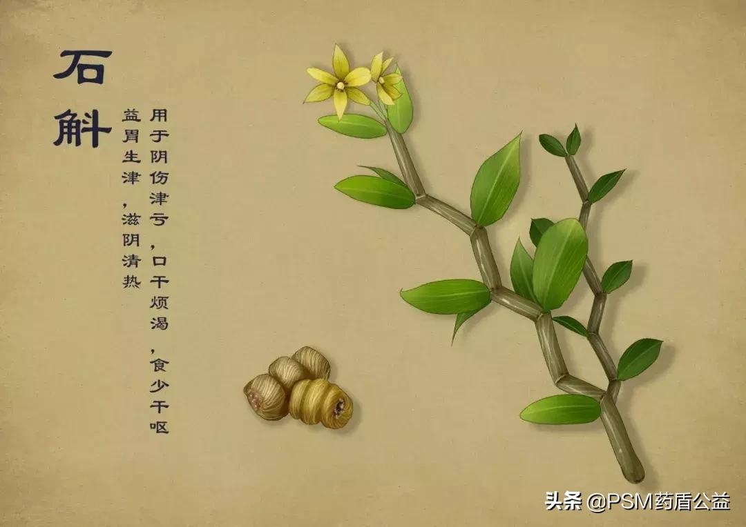 春暖花开手绘视频,春暖花开中药贴画