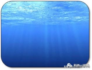 科研绘图流程模板,科研绘图教程