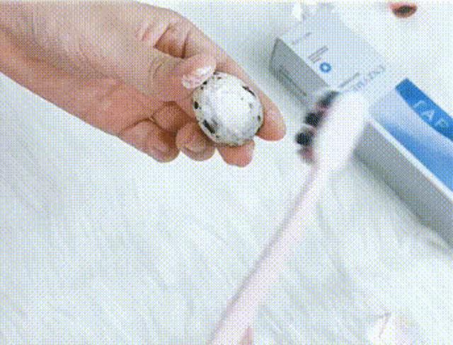 刘涛同款烤瓷牙,刘涛的牙齿烤瓷牙和全瓷牙